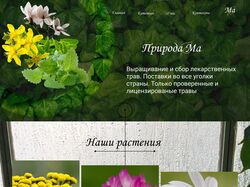 Дизайн магазина лекарственных растений