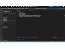 selenium скрипт