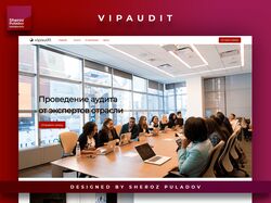 Vip Audit