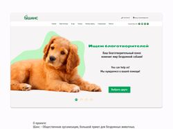 Редизайн сайта приюта для животных