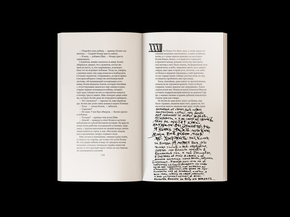 Pena_Open_book6.jpg