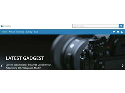 landing page: shoping