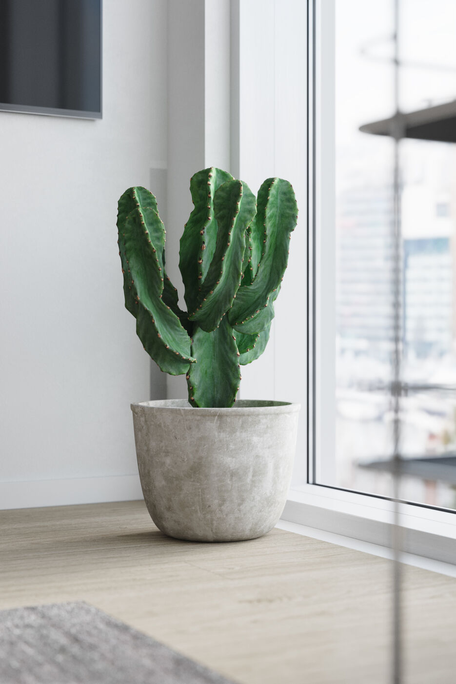 Визуализация квартиры 8.jpg