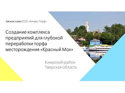 Презентация бизнес-проекта