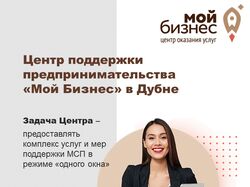 Инфографика "Мой бизнес"