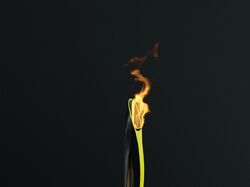 3D модель факела "Сочи 2014"