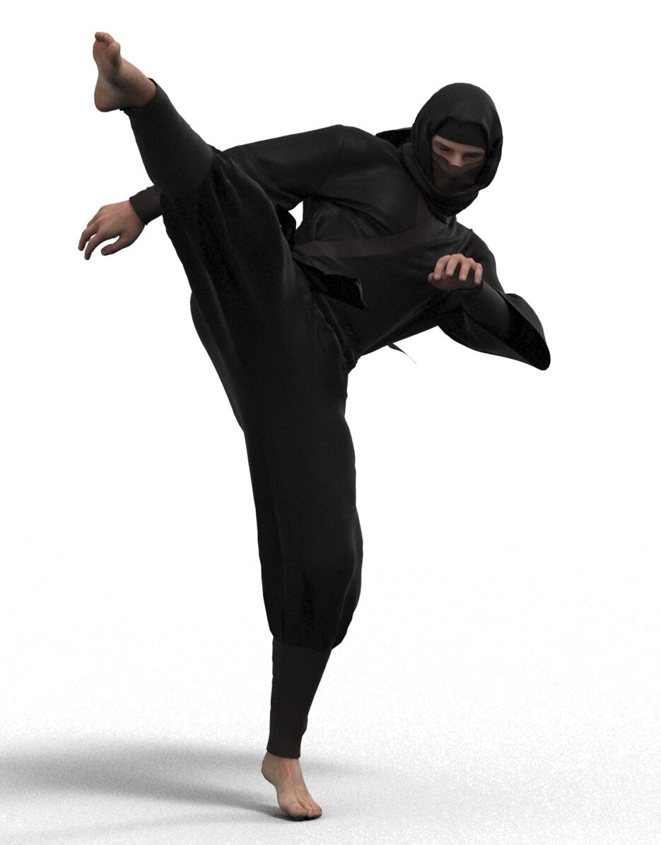 ninja_5.jpg