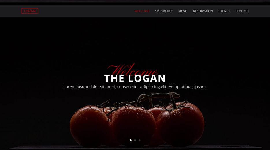 Screenshot 2021-09-12 at 16-31-12 LOGAN.png