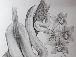 Dangerous and beautiful