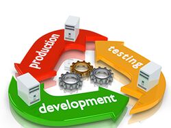 WEB develop