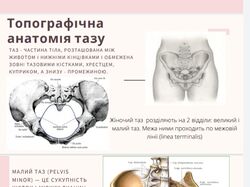 Создание и оформление презентаций