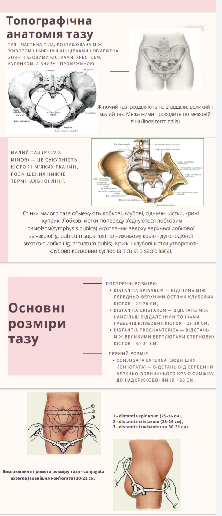 Screenshot_2021-09-15-19-54-41-525.jpeg