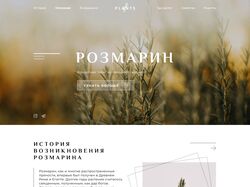 Информационный сайт "Розмарин"