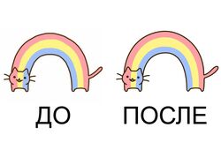 Работа 1