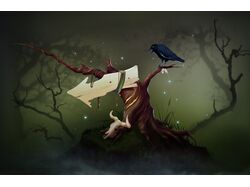 Указатель в дремучем лесу