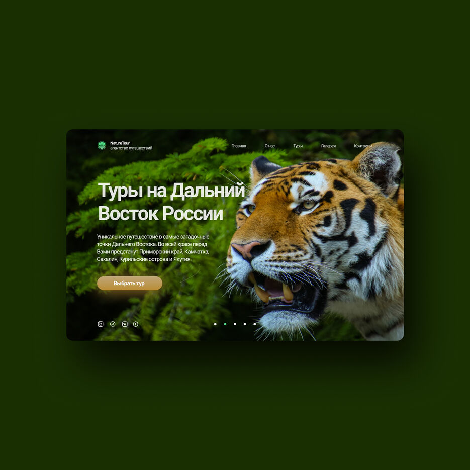 Презентация проекта Тигр.jpg