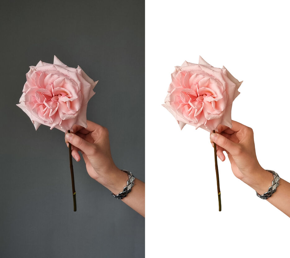 hand_with_rose_before-after.jpg