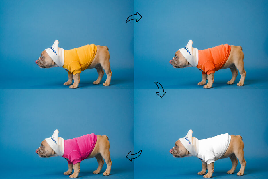 dog_recolor_before-afterR.jpg