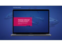 Сайт для компании по коммерческому вылову рыбы
