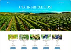 Лендинг для эко-поселка "Шато"