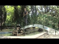 Путешествие в сказку