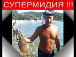 СУПЕРМИДИЯ