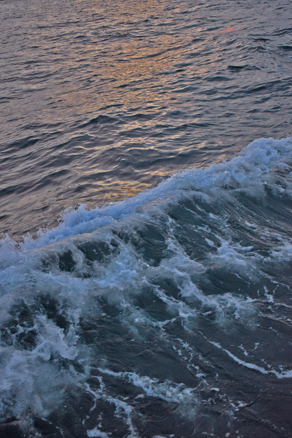 DSC_0240.jpg