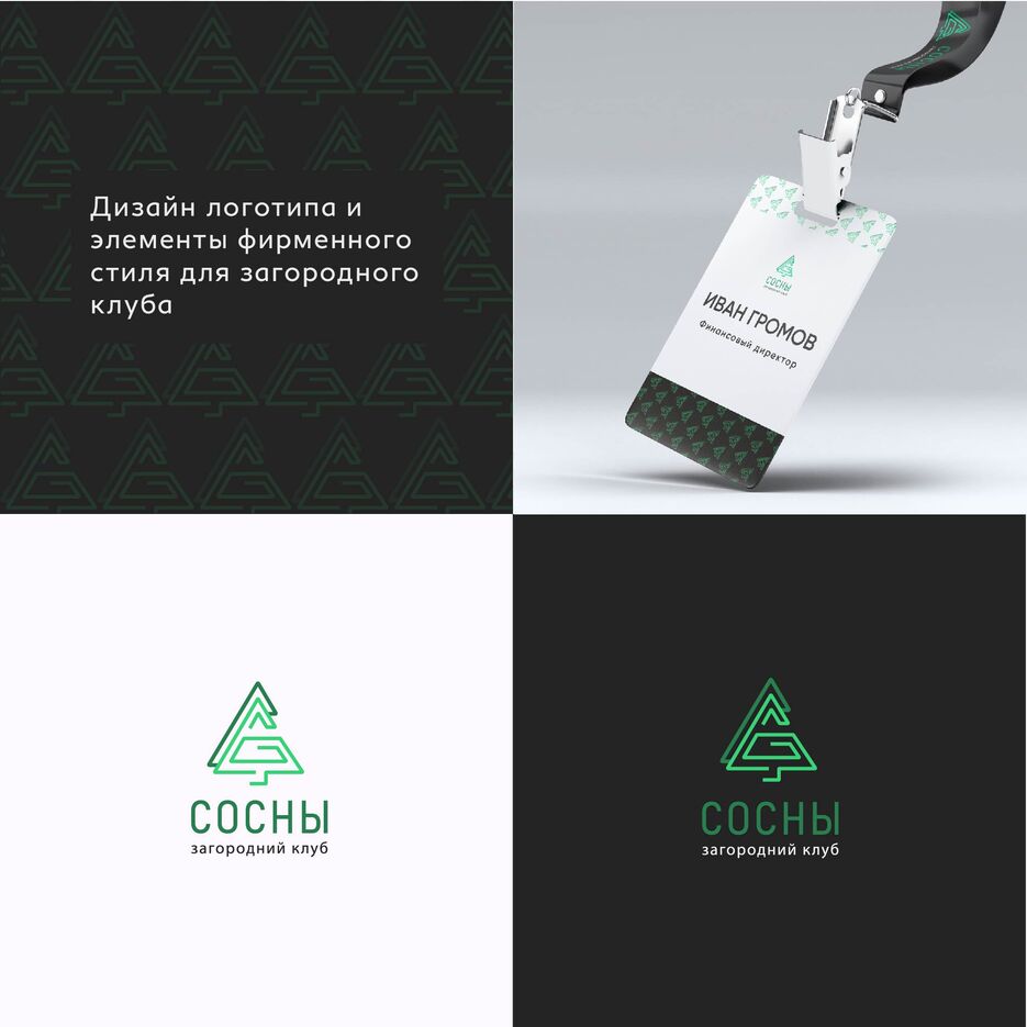 преза сосны.jpg