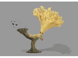 Mushroom Fighter Ramaria flava