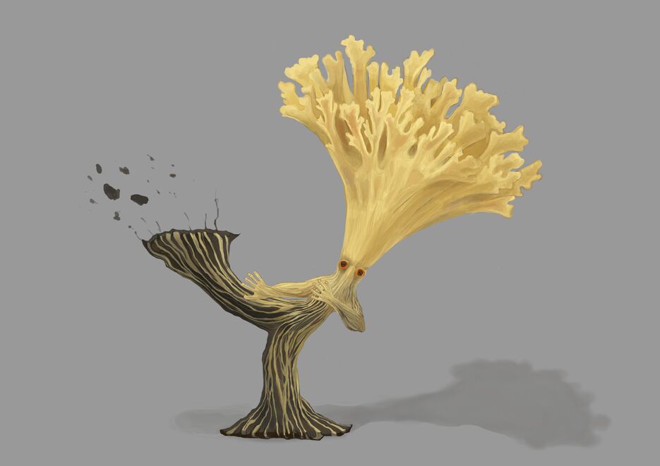 MushroomFighterRamaria_flava.png
