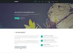 Адаптивная верстка сайта modest