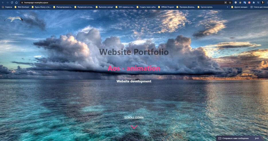 portfolio.png
