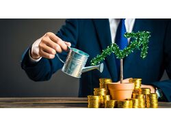 Статьи об инвестиционных домах
