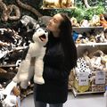elizaveta_sh_des