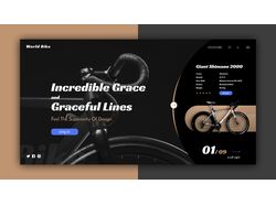 Прототип интернет магазина по продаже велосипедов