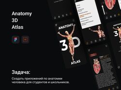 Anatomical 3d atlas