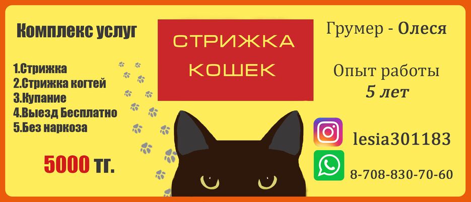 Работа 1.png