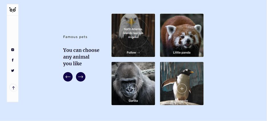 online-zoo-3.png