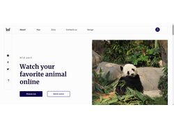 Online-Zoo