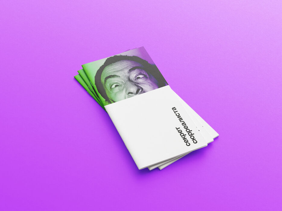 Free_DL_Stiched_Brochure_Mockup_1.jpg