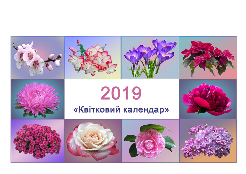 Обкладинка 1.jpg