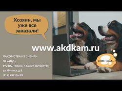 Реклама корма для собак