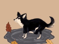 Собака в луже