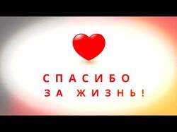 Ничего не предвещало случившееся...