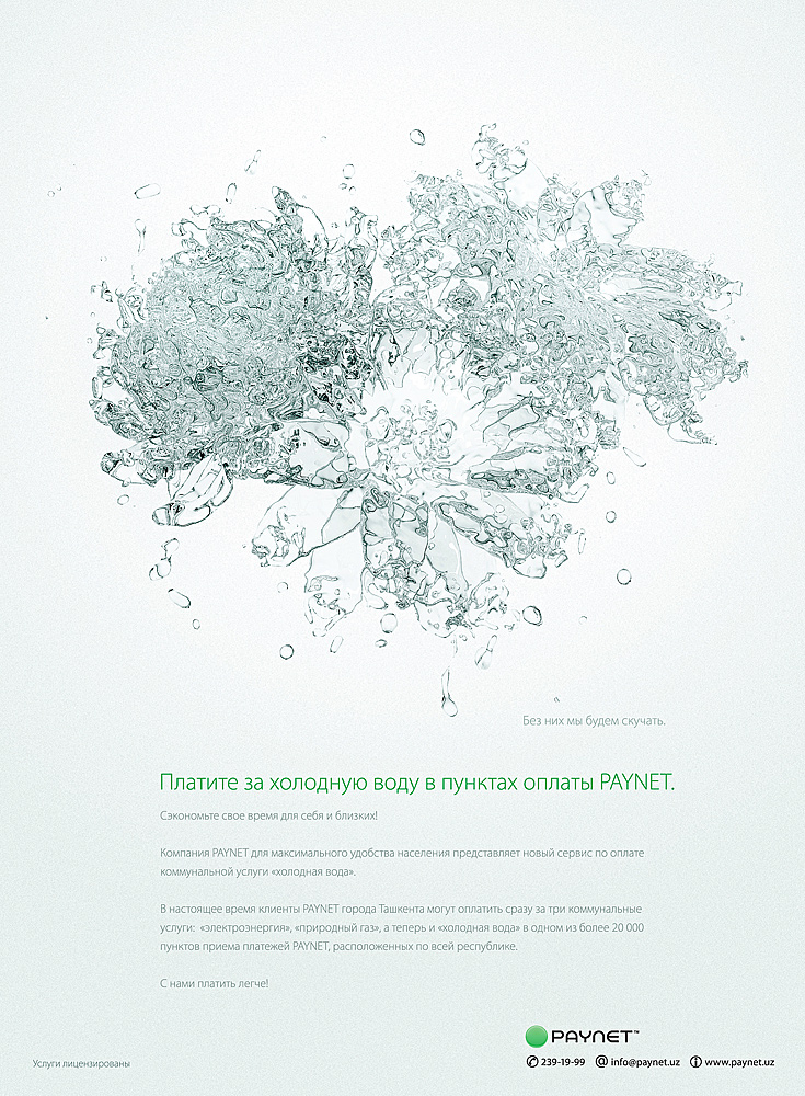 Принт для журнала (Paynet) - Infocom.jpg