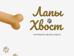 Питомник вельш корги "ЛапыХвост"