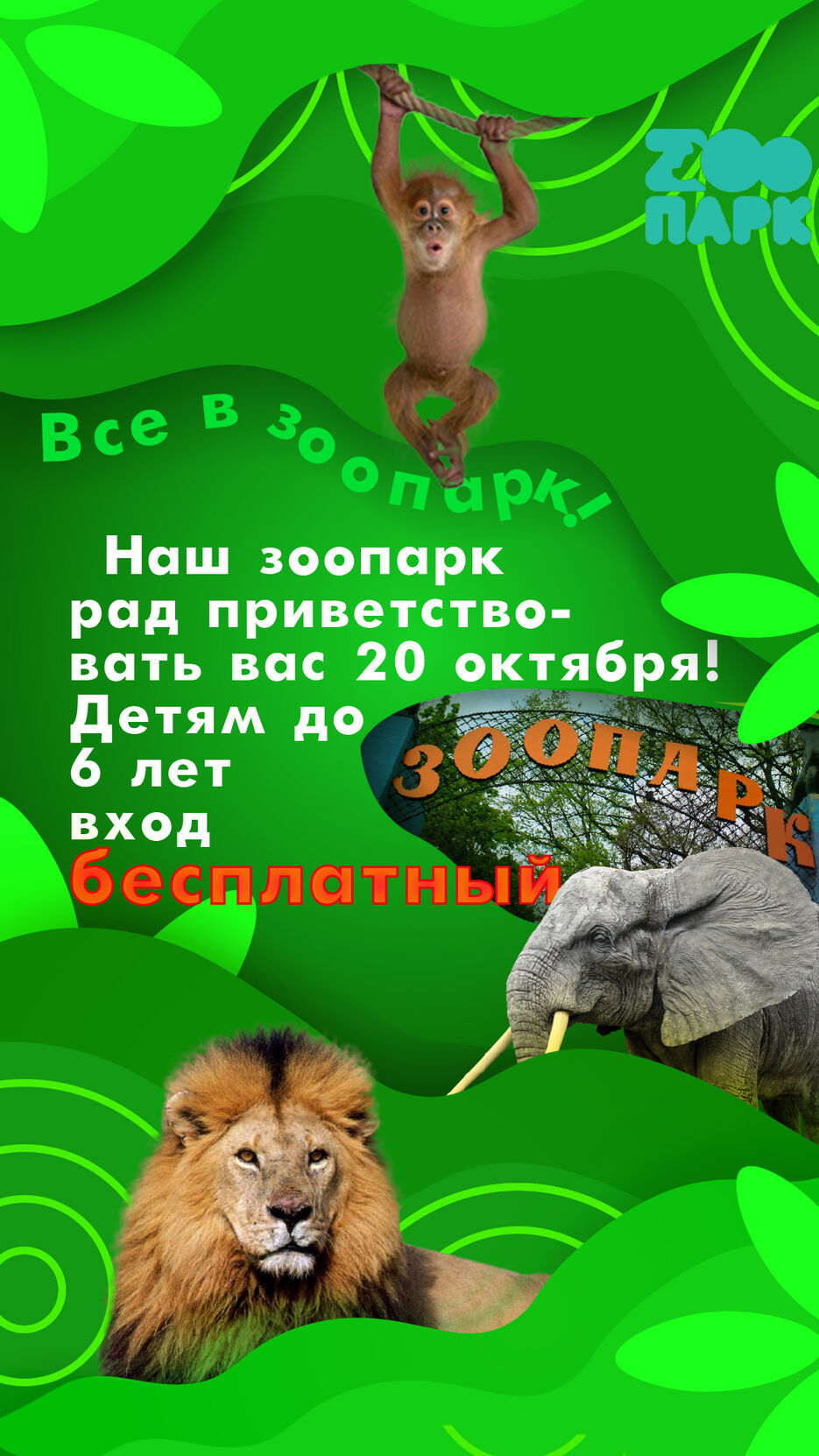 вМонтажная область 1.jpg