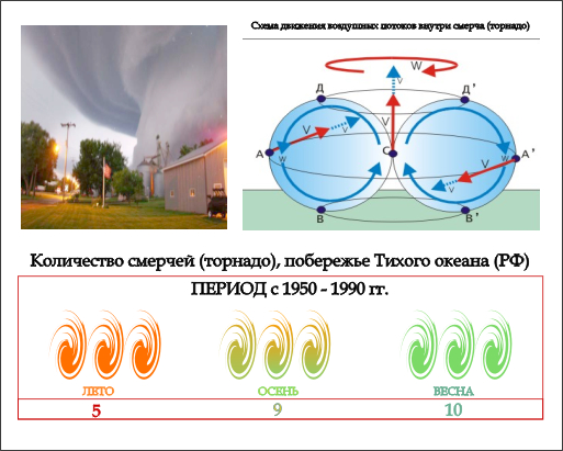 Инфографика.jpg
