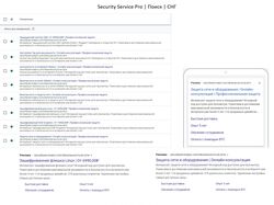 securityservicepro.com // Direct+Adwords