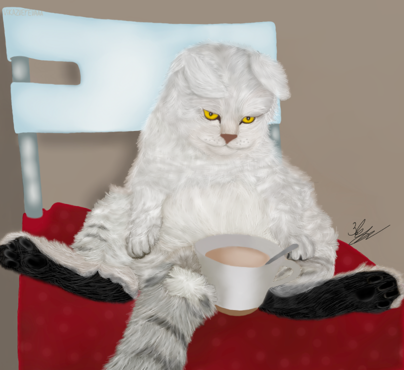 Cat.png
